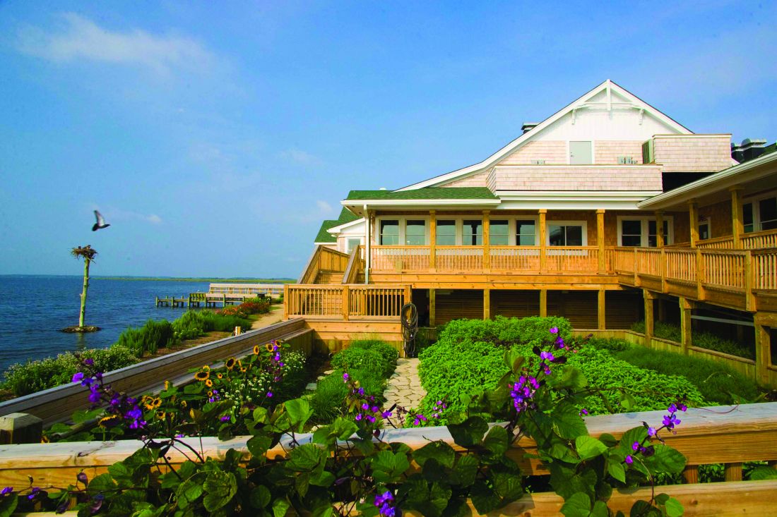 Basnight S Lone Cedar Outer Banks Seafood Restaurant Basnight S Lone Cedar Outer Banks Seafood Restaurant Photo
