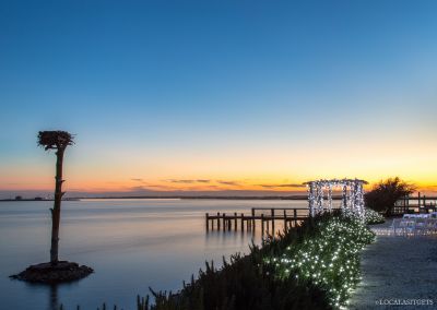 Basnight’s Lone Cedar Outer Banks Seafood Restaurant photo