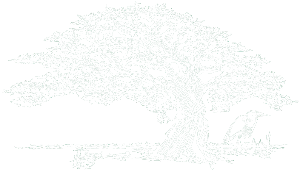 Basnights-Lone-Cedar-logo-white-1